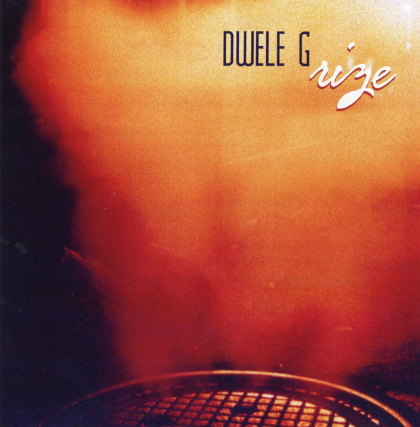 dwele rize album image 1